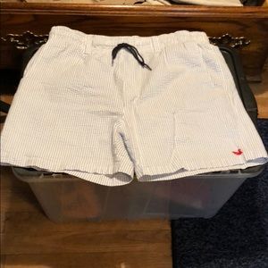 Baby Blue & White Seersucker Swimshorts